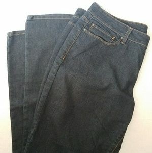 Ann Taylor Modern Fit Jeans